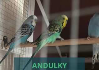 Představení zvířecích obyvatel Tmaváku