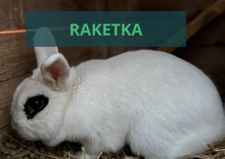 Představení zvířecích obyvatel Tmaváku