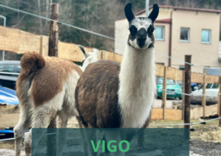 Představení zvířecích obyvatel Tmaváku